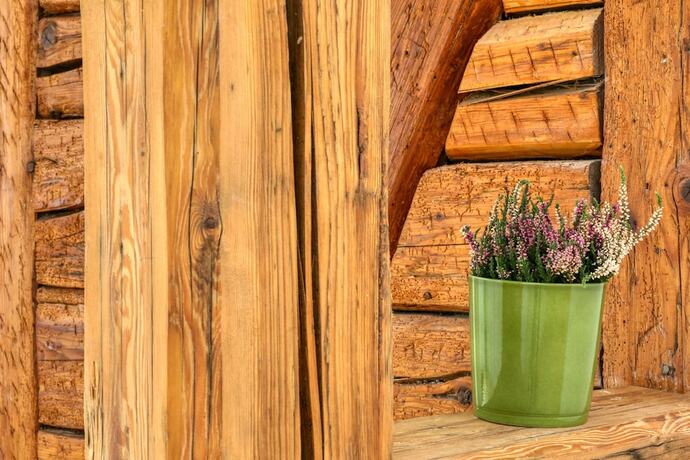 Imagen general del Bunter Bock Die Harz-Urlaubs-Alm. Foto 9