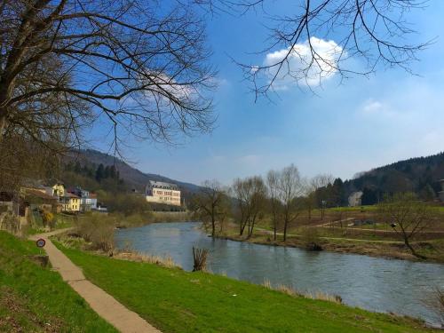 Imagen general del Burg Bollendorf by PRISMA. Foto 6