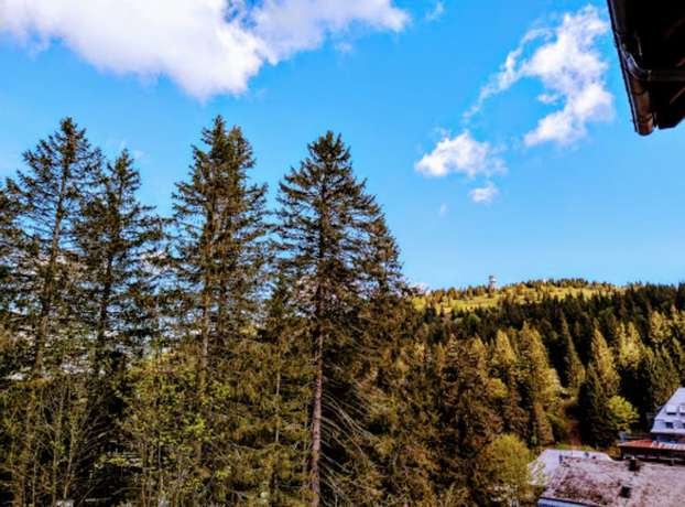 Imagen de la habitación del Burg Hotel, Feldberg en la Selva Negra. Foto 4