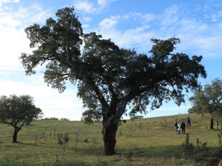 Imagen general del Burro Ville. Foto 4