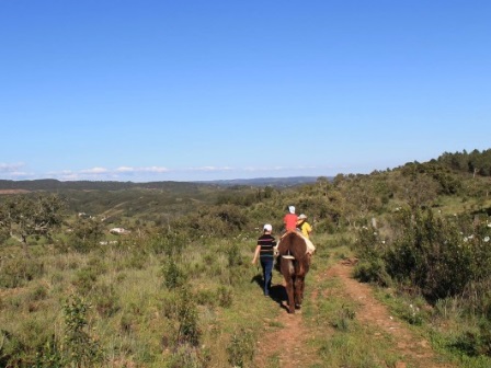 Imagen general del Burro Ville. Foto 8