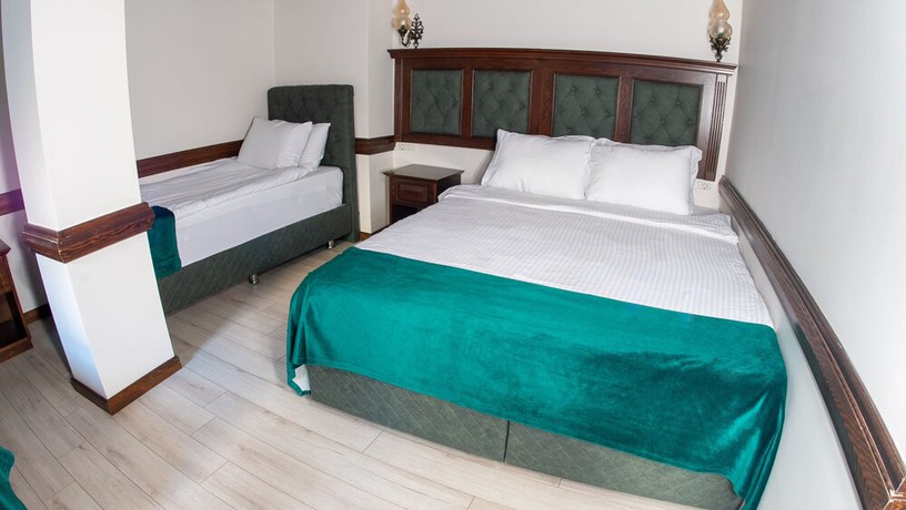 Imagen de la habitación del Bursa Grand Family Hotel and Spa. Foto 10