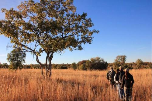 Imagen general del BushTime Mabula. Foto 2