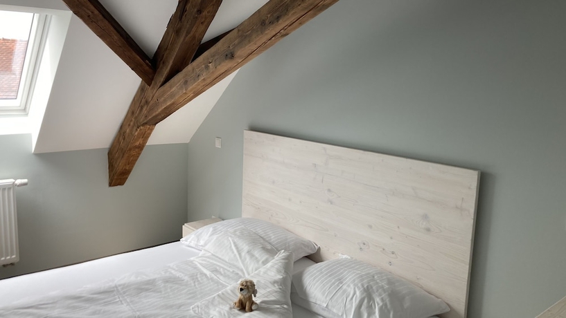 Imagen de la habitación del B&uuml;rgerhausL&ouml;wen. Foto 6
