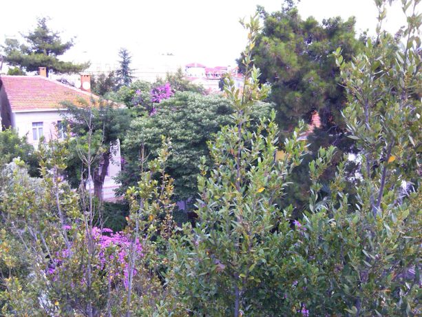 Imagen de la habitación del Buyukada Cankaya Hotel. Foto 4