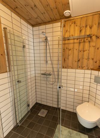 Imagen general del Bygdin H&oslash;yfjellshotell. Foto 6