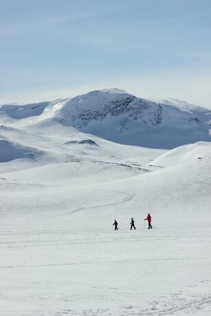 Imagen general del Bygdin H&oslash;yfjellshotell. Foto 37