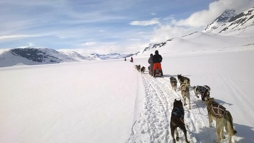 Imagen general del Bygdin H&oslash;yfjellshotell. Foto 48
