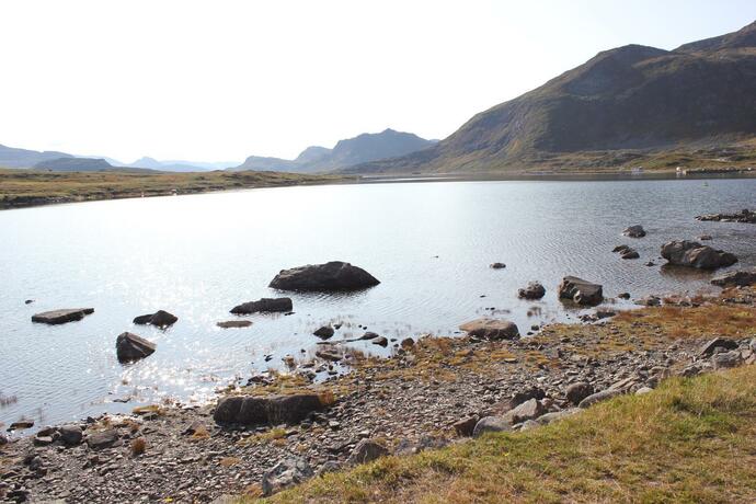 Imagen general del Bygdin H&oslash;yfjellshotell. Foto 60