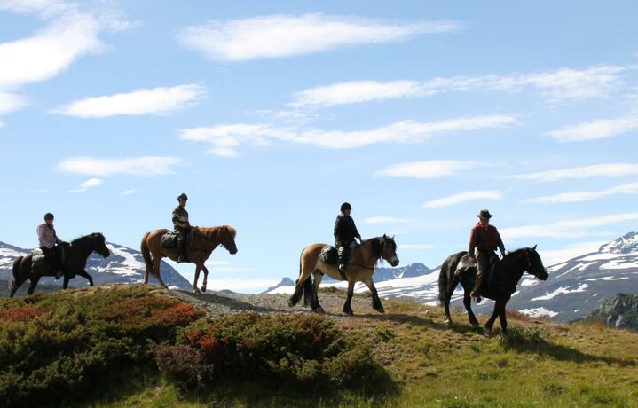 Imagen general del Bygdin H&oslash;yfjellshotell. Foto 64