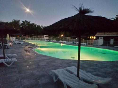 Imagen general del CAMPING Bassin Arcachon - LES GOELANDS. Foto 3