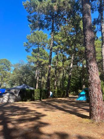 Imagen general del CAMPING Bassin Arcachon - LES GOELANDS. Foto 9