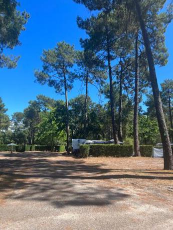 Imagen general del CAMPING Bassin Arcachon - LES GOELANDS. Foto 10