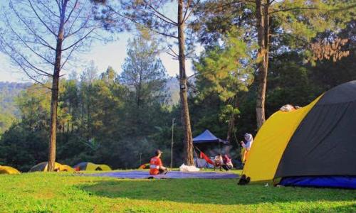 Imagen general del CAMPING GROUND. Foto 5