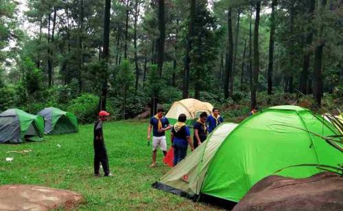 Imagen general del CAMPING GROUND. Foto 6