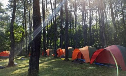 Imagen general del CAMPING GROUND. Foto 7