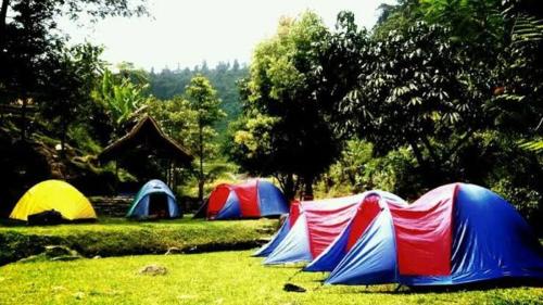 Imagen general del CAMPING GROUND. Foto 4