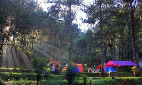 Imagen general del CAMPING GROUND. Foto 6