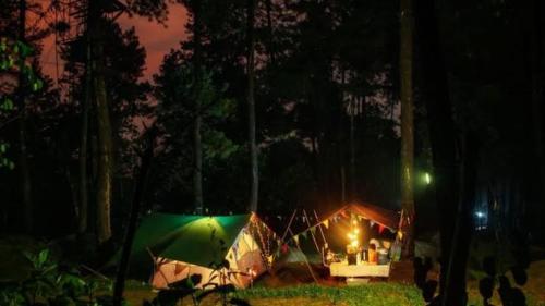 Imagen general del CAMPING GROUND. Foto 8