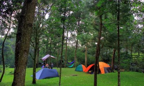 Imagen general del CAMPING GROUND. Foto 12