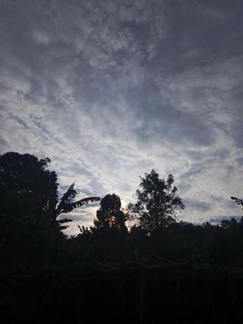 Imagen general del CAMPING GROUND. Foto 15