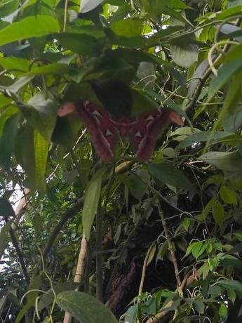 Imagen general del CAMPING GROUND. Foto 18