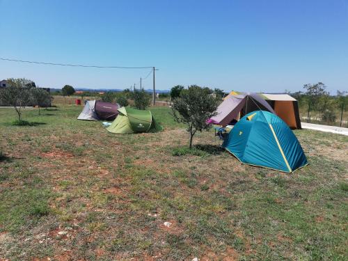 Imagen general del CAMPING LASTE. Foto 3