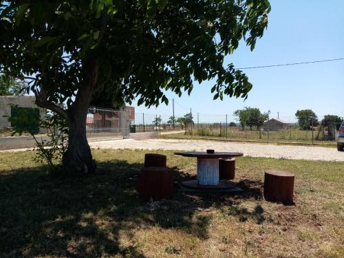 Imagen general del CAMPING LASTE. Foto 11