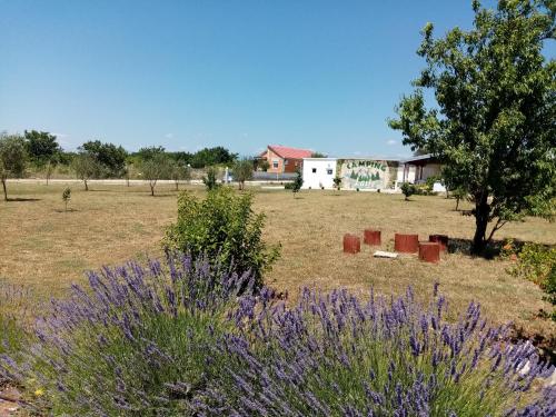 Imagen general del CAMPING LASTE. Foto 12