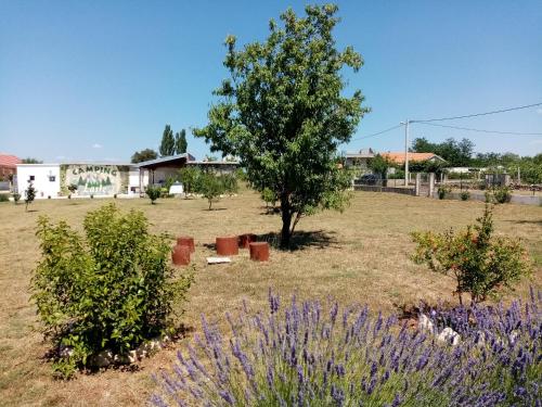 Imagen general del CAMPING LASTE. Foto 13