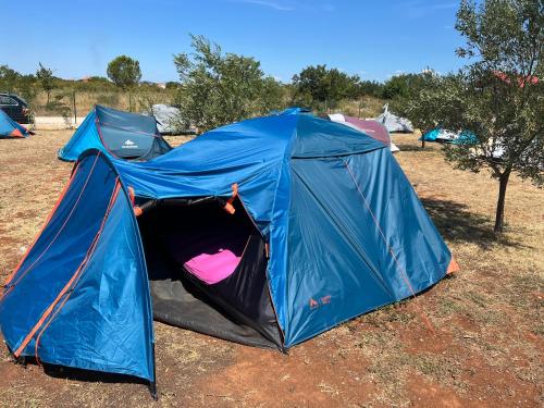 Imagen de la habitación del CAMPING LASTE. Foto 18