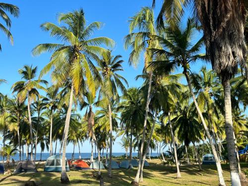 Imagen general del CASA DE CAMPO CASTILLETE dentro del PARQUE TAYRONA. Foto 1