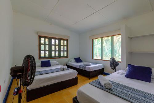 Imagen de la habitación del CASA DE CAMPO CASTILLETE dentro del PARQUE TAYRONA. Foto 16