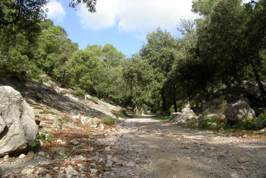 Imagen general del CA&acute;N CASETES. Foto 7