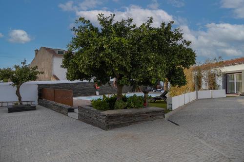Imagen general del C`Alma D`Alentejo. Foto 4