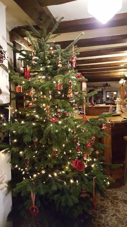 Imagen de los interiores del CB Hotel Becker. Foto 20