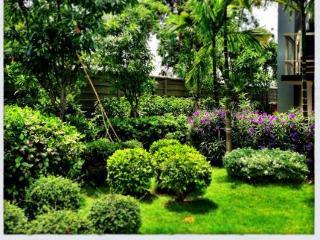 Imagen general del CCP Tower. Foto 6