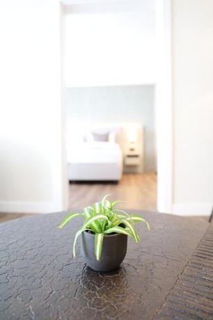 Imagen general del CITY STAY - Papieri-Ring. Foto 12