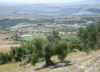 Imagen general del CORTIJO ESCONDIDO. Foto 6