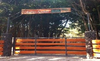 Imagen de los interiores del Caba&ntilde;as Anulen Bosque Nativo. Foto 5