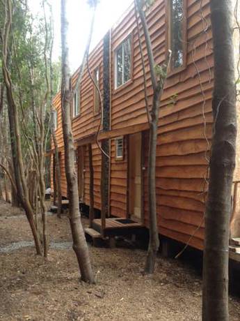 Imagen de los interiores del Caba&ntilde;as Anulen Bosque Nativo. Foto 7