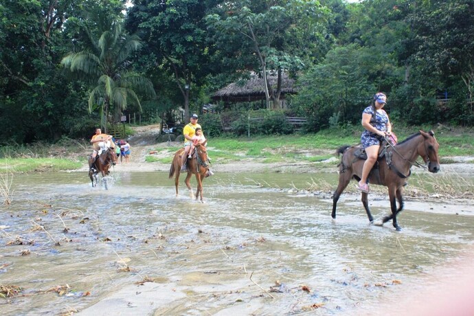 Imagen general del Cabañas Ecoturisticas Y Club Gaira Tayrona. Foto 12