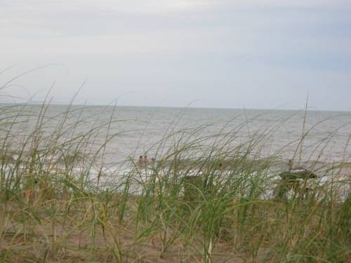 Imagen general del Caba&ntilde;as Entreverdes. Foto 9