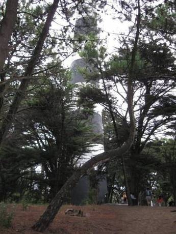 Imagen general del Caba&ntilde;as Entreverdes. Foto 10