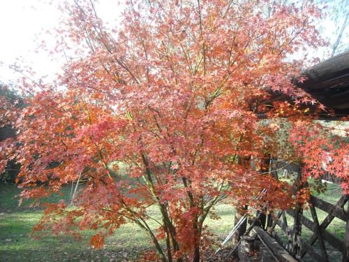 Imagen de la habitación del Caba&ntilde;as Las Lavandas en Pilar. Foto 23