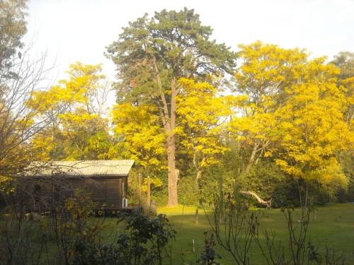 Imagen de la habitación del Caba&ntilde;as Las Lavandas en Pilar. Foto 24