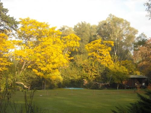 Imagen general del Caba&ntilde;as Las Lavandas en Pilar. Foto 5