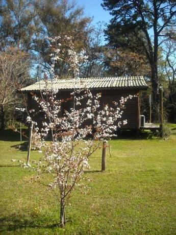 Imagen general del Caba&ntilde;as Las Lavandas en Pilar. Foto 8