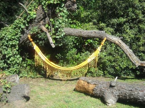 Imagen de la habitación del Caba&ntilde;as Las Lavandas en Pilar. Foto 26