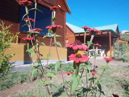 Imagen general del Caba&ntilde;as Las Tuscas. Foto 2